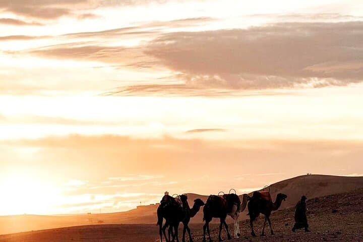 Agafay Desert Sunset Camel Ride & Traditional Dinner from Marrakech photo 6