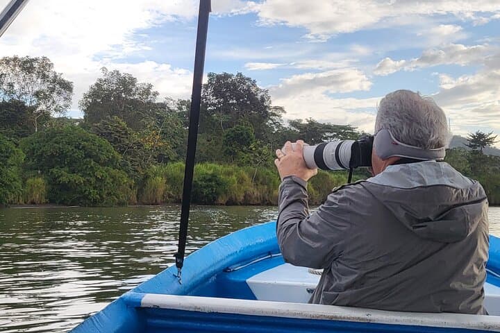Panama Monkey and Sloth Jungle Habitat Tour on Gatun Lake photo 3