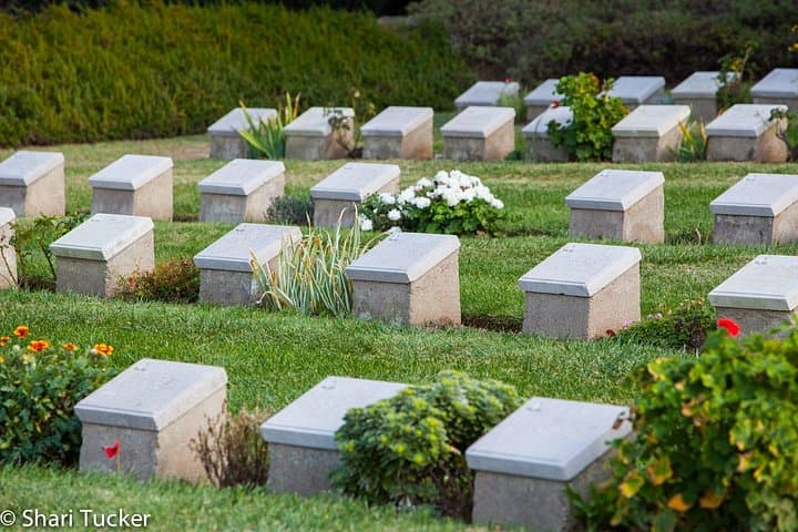 Walk in Their Footsteps: Private ANZAC Trail Tour on Gallipoli Peninsula photo 3