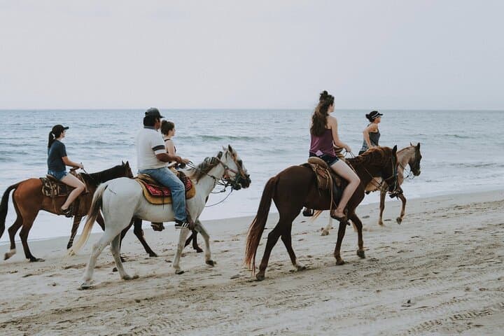 Hurghada Horseback Riding in Makadi Bay: Sunset Rides, Stargazing & Dinner photo 2