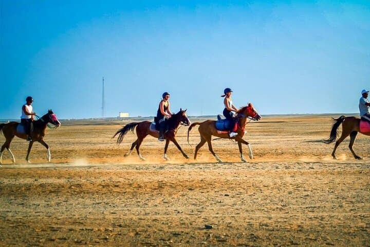 Hurghada Horseback Adventure: 3-Hour Beach, Desert & Swim Ride