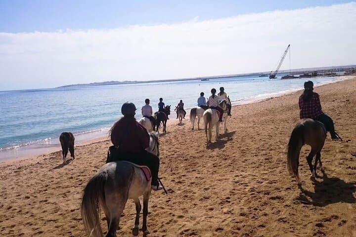 Hurghada Horseback Adventure: 3-Hour Beach, Desert & Swim Ride photo 2