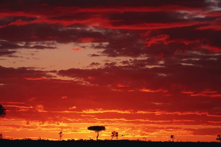 3-Day Masai Mara Safari: Big Five, Culture & Camp Stays photo 2