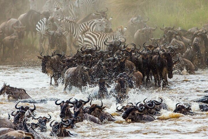 3-Day Masai Mara Safari: Big Five, Culture & Camp Stays photo 4