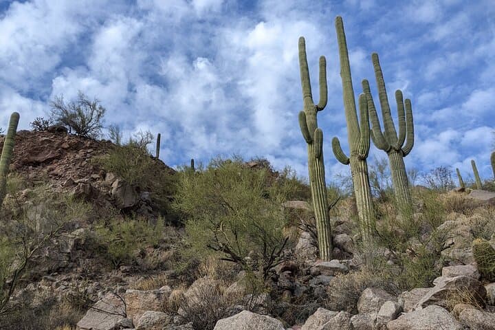 Lime Kiln Desert Hike on the Lower Salt River — Saguaro Lake Trail Guide photo 6