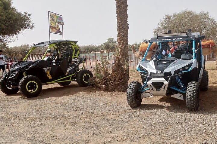 Quad Biking in Palmeraie Marrakech: ATV Tour with Berber Tea photo 5