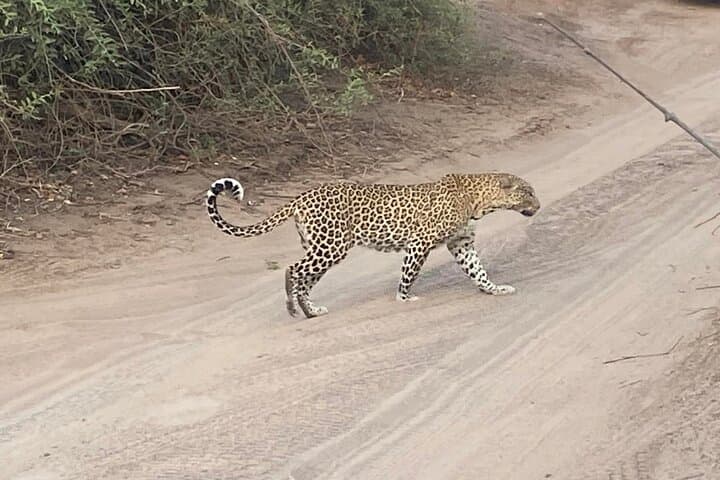 Hwange National Park Safari & Overnight from Victoria Falls photo 2