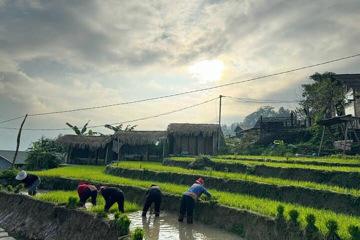 Sapa 3-Day Trek from Ha Noi: Lao Chai to Ban Ho Homestays with Local Guides photo 4