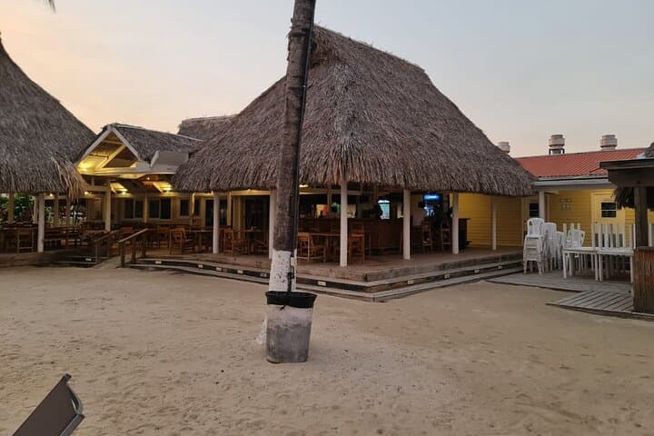 Roatán Private 4-Hour Snorkel Tour on the Mesoamerican Reef photo 6