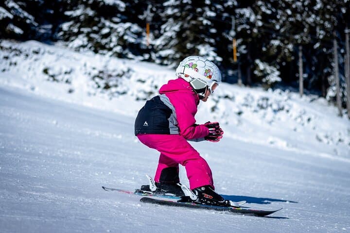 Private Ski Lesson from Tokyo with Optional Mt Fuji Sightseeing photo 4