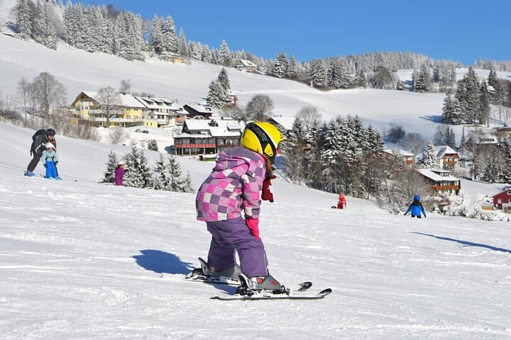 Private Ski Lesson from Tokyo with Optional Mt Fuji Sightseeing photo 3