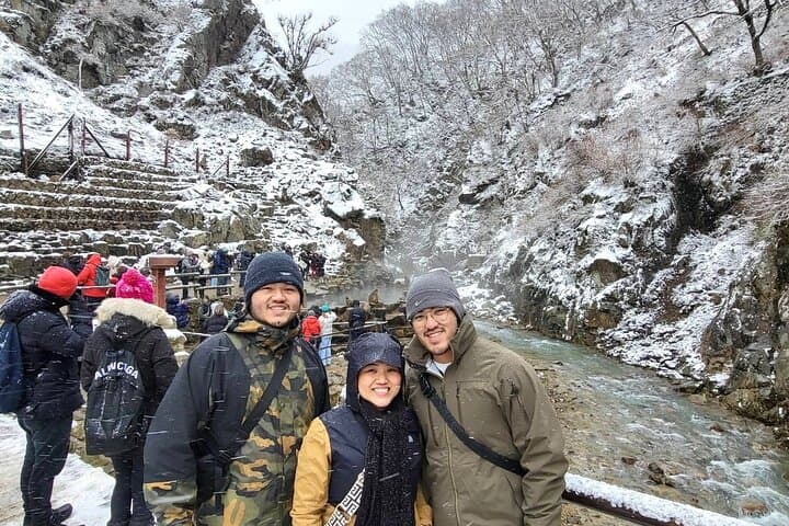 Jigokudani Snow Monkey Park Guided Tour from Yudanaka: Hot Springs and Wild Macaques photo 3