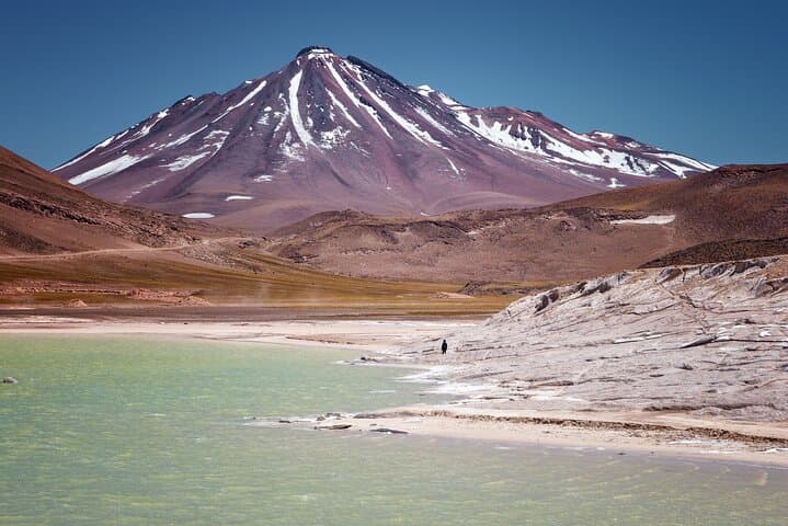 Piedras Rojas & Altiplanic Lagoons: Full-Day Private Tour from San Pedro de Atacama