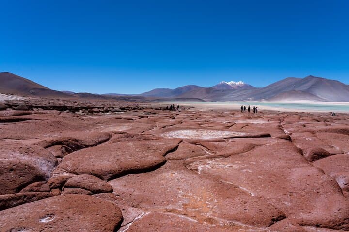 Piedras Rojas & Altiplanic Lagoons: Full-Day Private Tour from San Pedro de Atacama photo 3