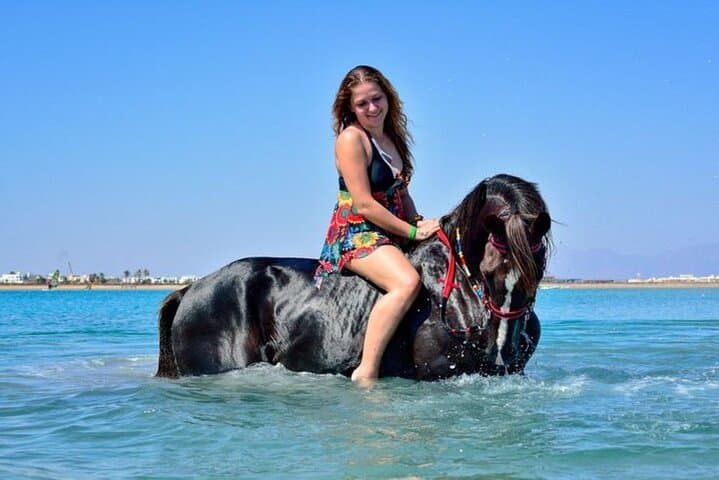 Horseback Riding in Sharm El-Sheikh — Desert or Beach Ride with Hotel Pickup photo 2