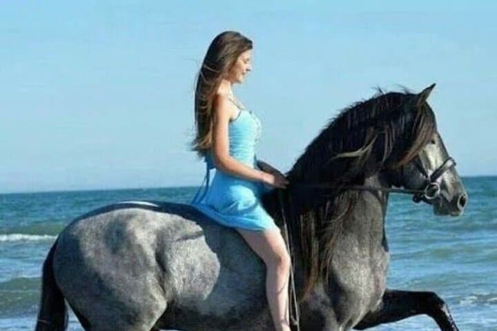 Sharm El-Sheikh Desert & Seaside Horse Ride — 2-Hour Sinai Beach Trail photo 1