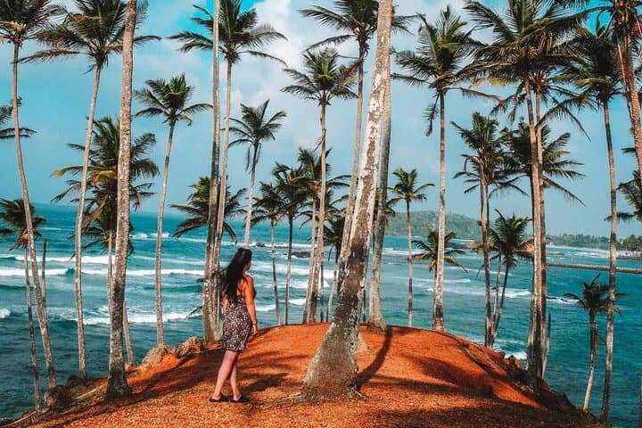 4-Day Sri Lanka Highlights: Cultural Heritage, Scenic Train & Coastal Beaches photo 6
