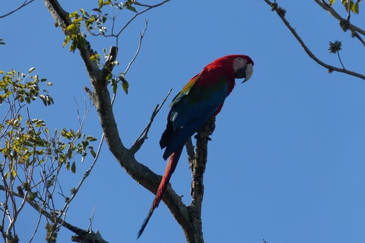Private Iberá Wetlands Day Tour from Ituzaingó — Walks, Wildlife & Vehicle Safari photo 3