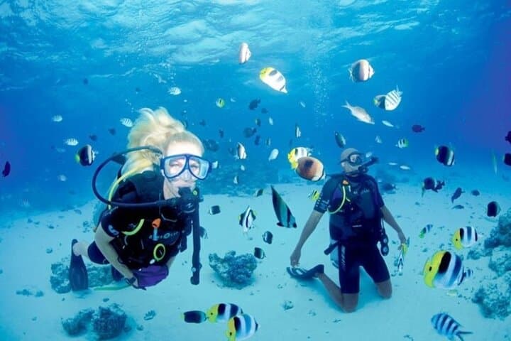 Hurghada Intro Scuba Dive: Red Sea Reefs & Onboard Lunch photo 4