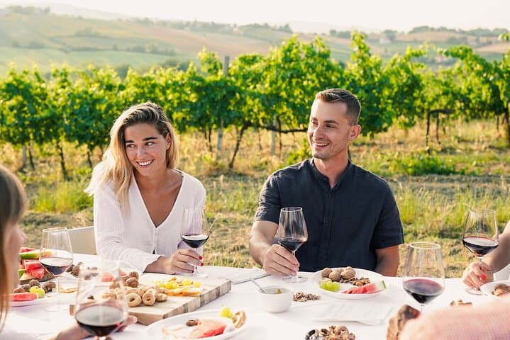 Half-Day Private São Roque Wine Tour: Vineyards, Tastings & Estate Visits