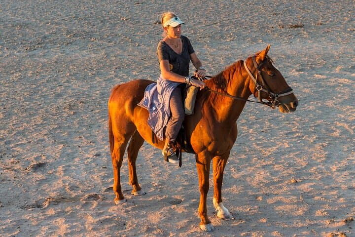 Horseback Riding in Sharm El-Sheikh — Desert or Beach Ride with Hotel Pickup photo 4