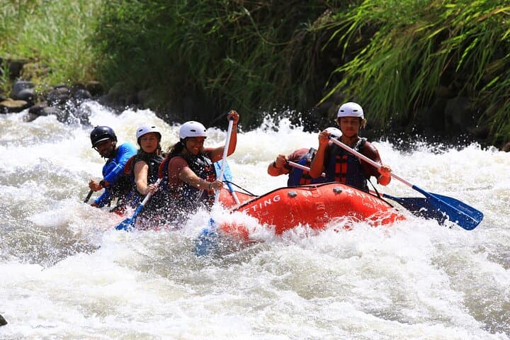 Balsa River Class III Rafting From La Fortuna: 5-Hour Jungle Rapids Adventure photo 3