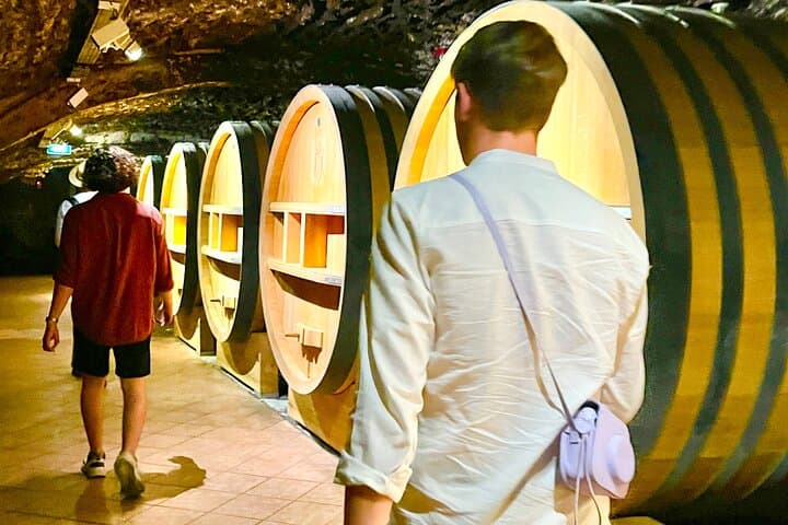 Châteauneuf-du-Pape Wine Tour: 3-Hour Tasting at Historic Domaines photo 3