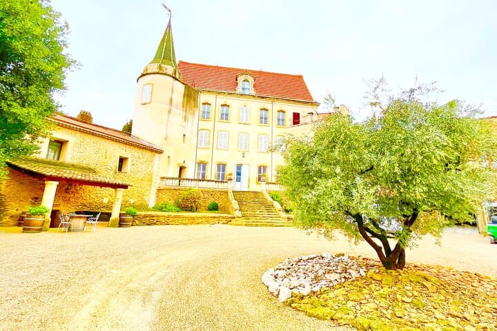 Châteauneuf-du-Pape Wine Tour: 3-Hour Tasting at Historic Domaines photo 4