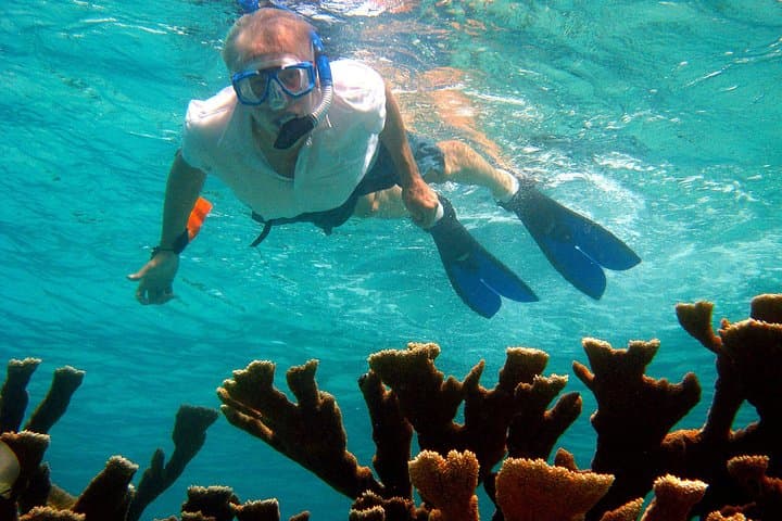 South Bonaire Land and Sea Snorkel Combo: Guided South Island Tour photo 2