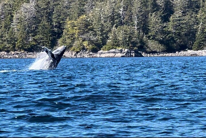 Private Island Day Trip from Sitka: Mertz Island Exclusive Adventure photo 4