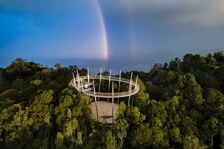 The Habitat Penang Hill: Rainforest Walks & Curtis Crest Canopy Views photo 5