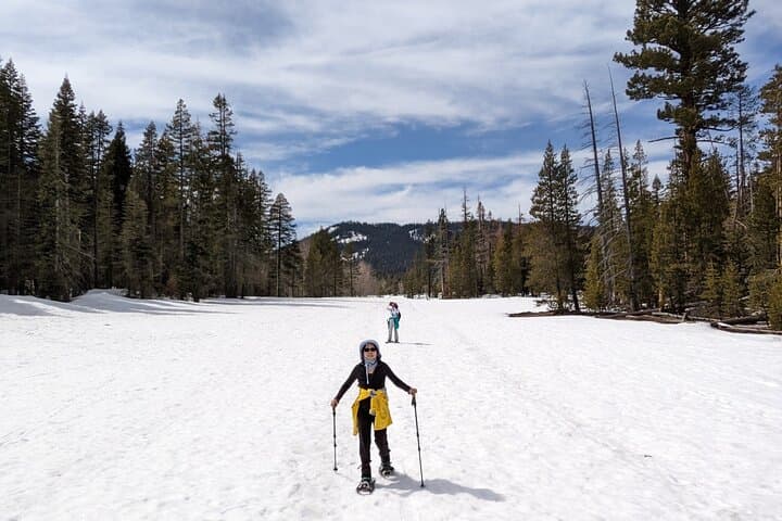 Chickadee Ridge Beginner Snowshoe Tour — Guided Snowshoeing on Lake Tahoe's North Shore photo 2