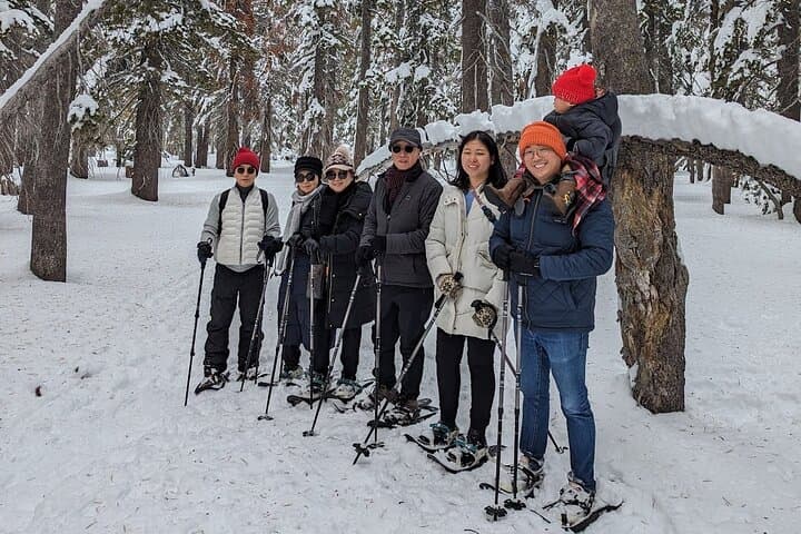 Chickadee Ridge Beginner Snowshoe Tour — Guided Snowshoeing on Lake Tahoe's North Shore photo 3