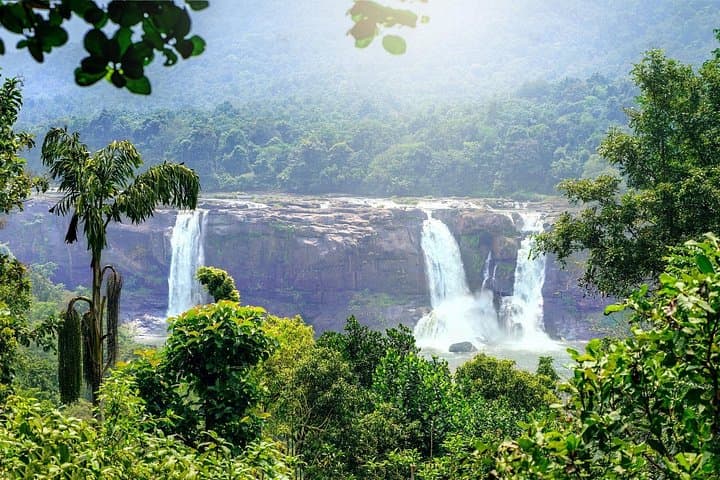 Athirappilly & Vazhachal Waterfalls Day Tour from Kochi — Waterfall Views and Forest Trails photo 4