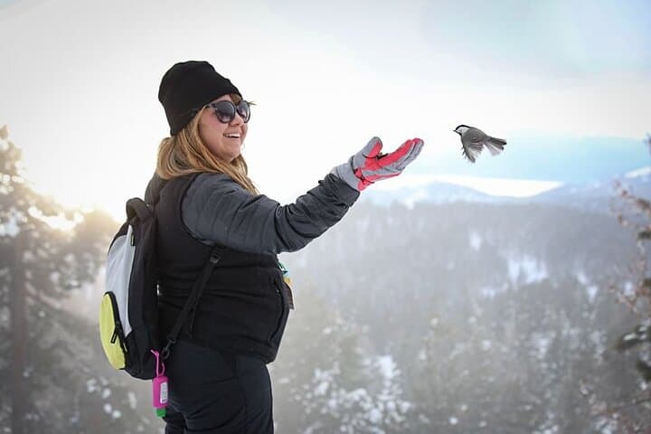 Chickadee Ridge Beginner Snowshoe Tour — Guided Snowshoeing on Lake Tahoe's North Shore photo 5