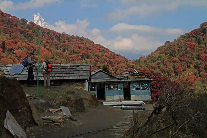 Private Annapurna Base Camp Trek: 7-Day Guided Trek from Pokhara to ABC photo 6