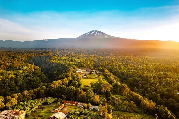 5-Day Mount Kilimanjaro via Marangu Route — Coca‑Cola Hut Trek to Uhuru Peak photo 5