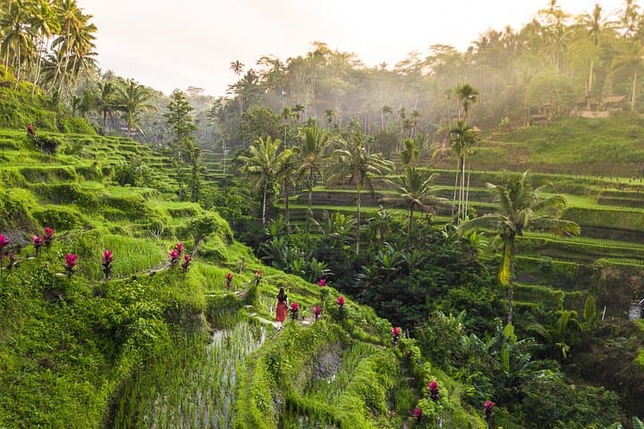 Ultimate Ubud One-Day Tour: Rice Terraces, Monkey Forest & Waterfall photo 2