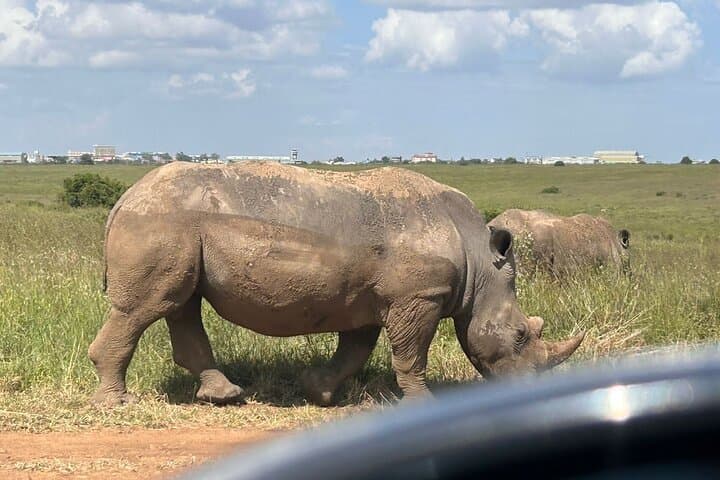 Nairobi National Park Layover: Private Stopover Tour with Kazuri Bead Workshop photo 5