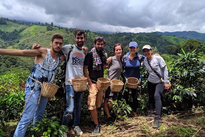 Karunguru Coffee Farm Tour: Nairobi Farm-to-Cup Experience photo 2