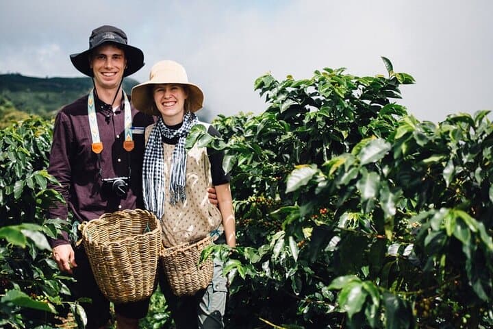 Karunguru Coffee Farm Tour: Nairobi Farm-to-Cup Experience photo 5