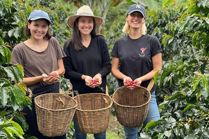 Karunguru Coffee Farm Tour: Nairobi Farm-to-Cup Experience photo 6