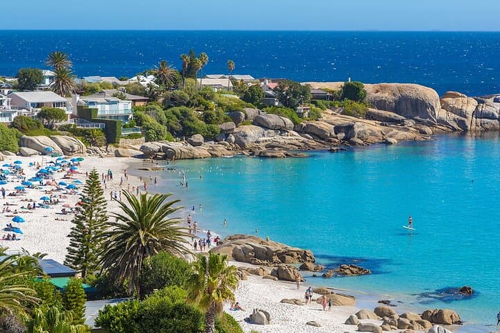 Table Mountain, Cape Point & Boulders Beach: Full-Day Cape Peninsula Tour with Cable Car & Penguin Colony photo 3
