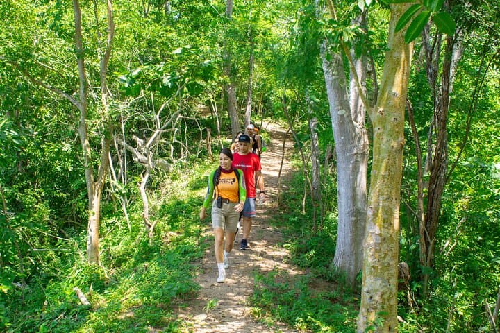 Glass Viewpoint Hike: Sierra Madre Trails & Tequila Tasting Near Puerto Vallarta photo 4
