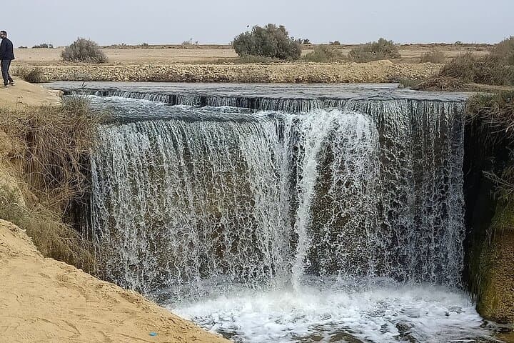 Full-Day Fayoum Oasis 4x4 Safari: Wadi Hitan, Wadi El-Rayan Waterfalls & Sandboarding