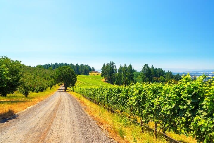 Private Full-Day Willamette Valley Wine Tour from Portland — Taste Oregon Pinot Noir