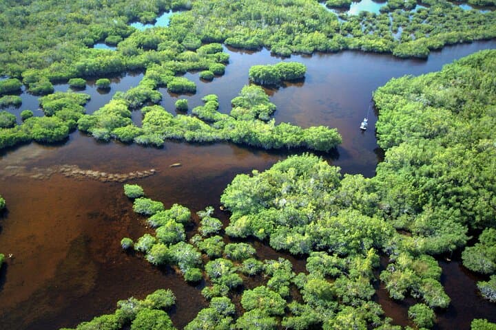 Exploring the Ten Thousand Islands: Everglades National Park Boat Tour photo 2