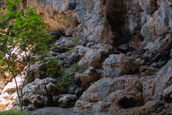Private Korcula Eco Tour: Rural Hikes, Workshops & Local Flavors photo 3