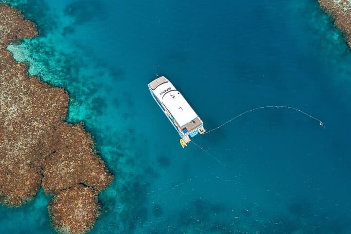 John Brewer Reef & MOUA Snorkeling Day Trip from Townsville: What to Expect
