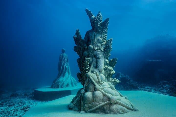 John Brewer Reef & MOUA Snorkeling Day Trip from Townsville: What to Expect photo 3